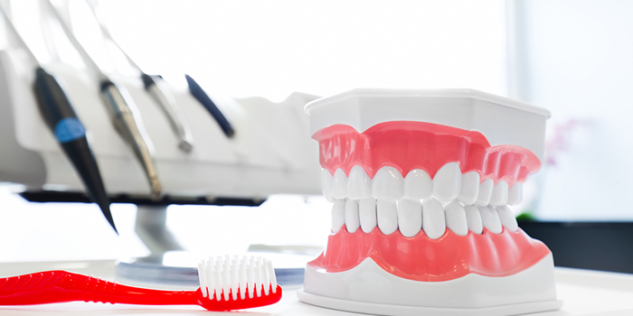 「歯茎」を知り、歯みがきを知る。歯茎に効果的なブラッシングとは