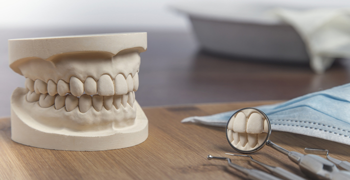 知られざる入れ歯の歴史を解説! 入れ歯が使われたのはいつから?