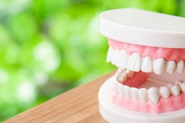 歯周病が認知機能を低下させる？　脳の認知機能と歯の関係　